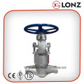 Stainless Steel F304 Pressure Self Sealing Forged Steel Globe Valve